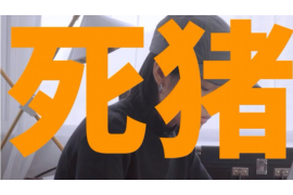 东海如何避免债务纠纷？专业追讨公司教您应对之策